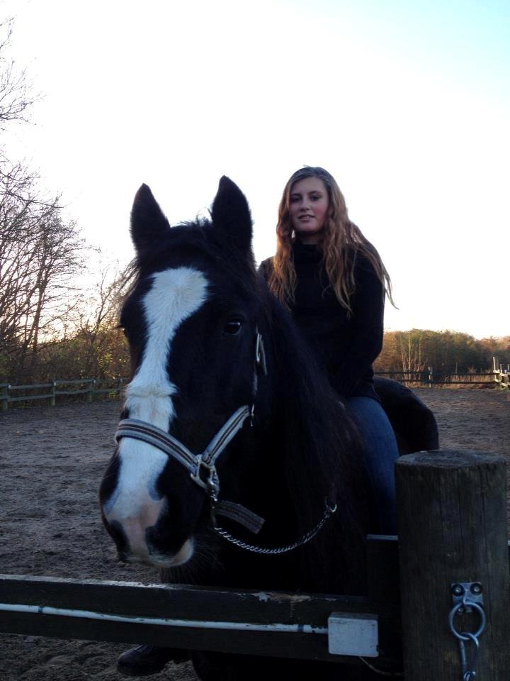 Tinker Dr. Wolle billede 3