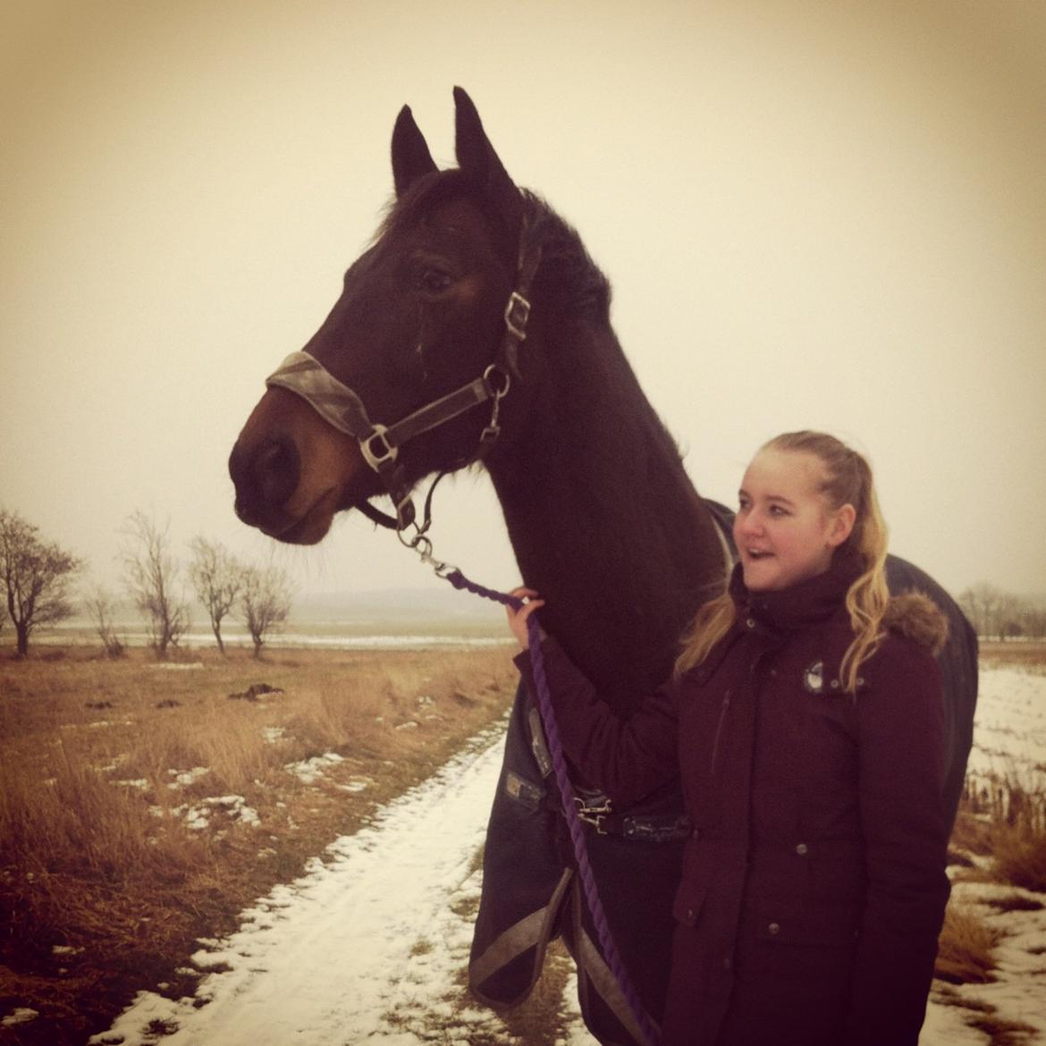 Oldenborg søstedgårds honey (pigen) billede 7