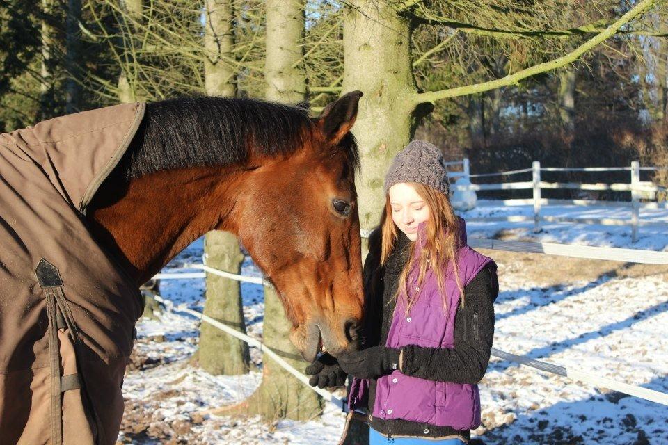 Holstener Castano billede 1