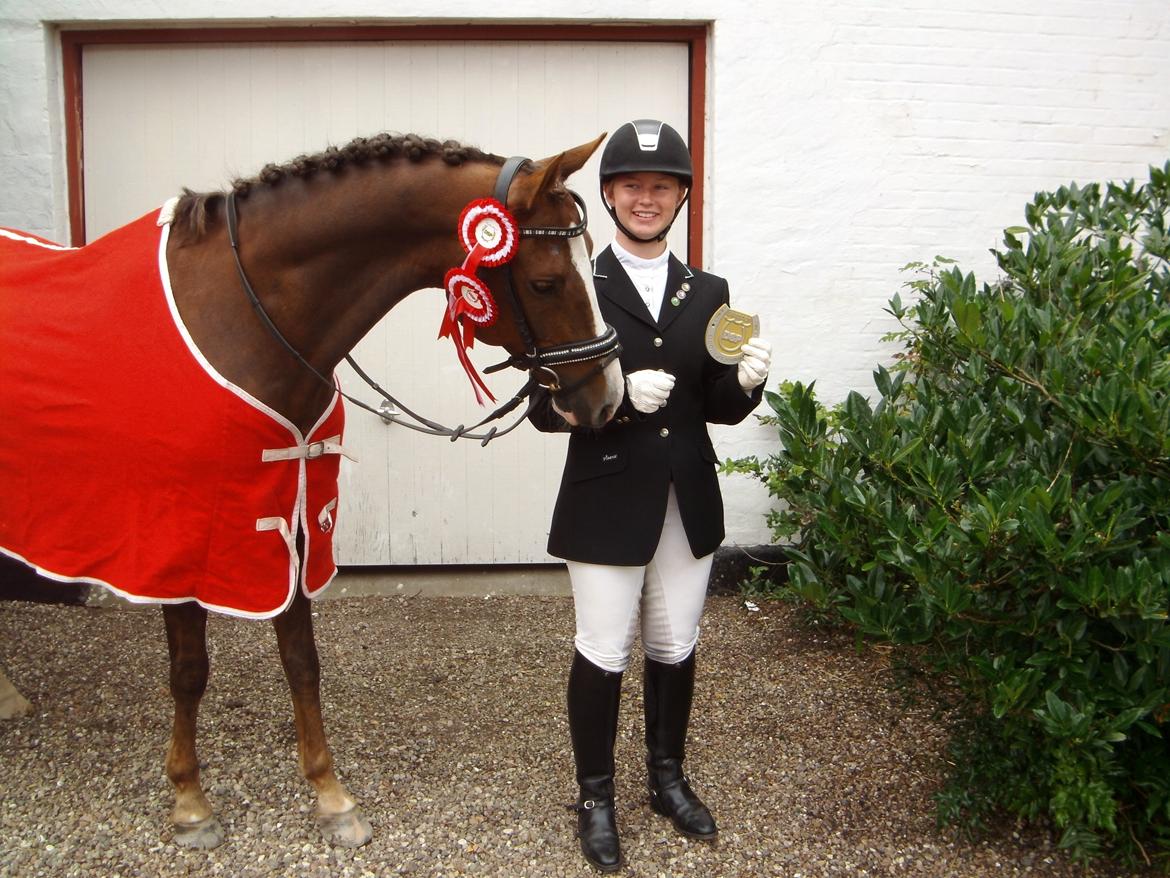 DSP Brage stengaard - Vinder af PRI - GULD MEDALJERIDNING & vand 7-8 år avlsklasse i dressur. billede 4