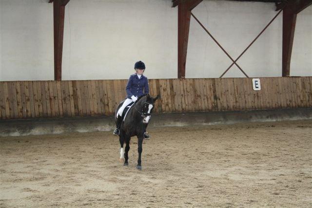 DSP Bøgely`s Celine - Stævne Arden Sportsrideklub billede 9