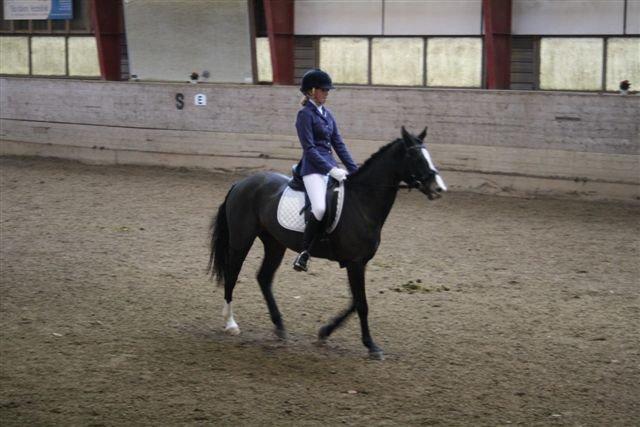 DSP Bøgely`s Celine - Stævne Rebild Sportsrideklub billede 10