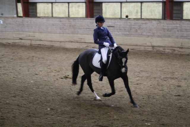 DSP Bøgely`s Celine - Stævne Rebild Sportsrideklub billede 11