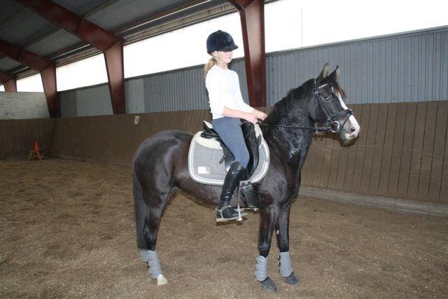 DSP Bøgely`s Celine - Christina og Celine i Gerding billede 12