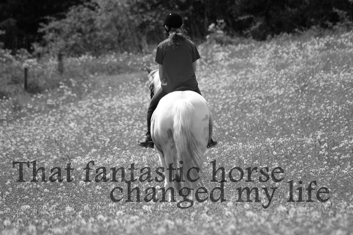 Anden særlig race MR MARTIN - DIG OG MIG MARTIN - dig og mig  billede 19