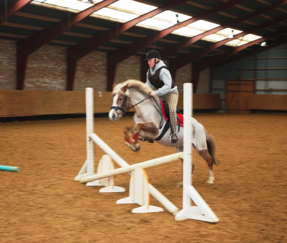 Anden særlig race Unique billede 7