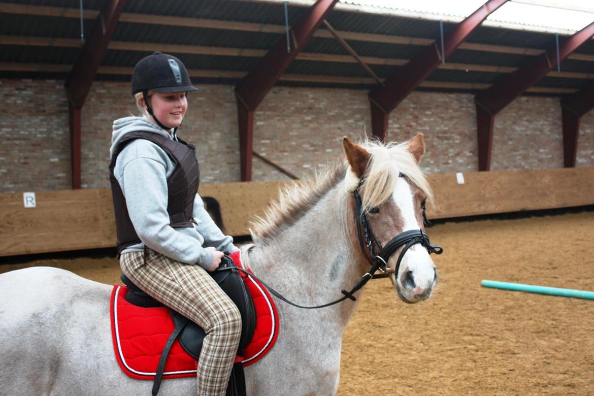 Anden særlig race Unique - Ynne billede 1