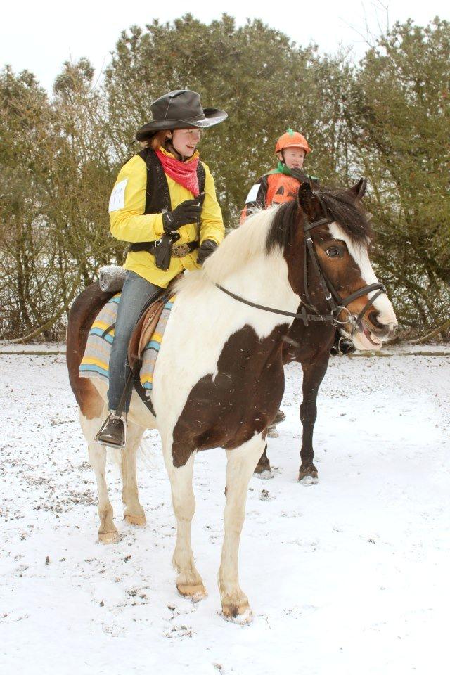 Anden særlig race Jolly Jumper - Jolly griner af mig!<3
 billede 2