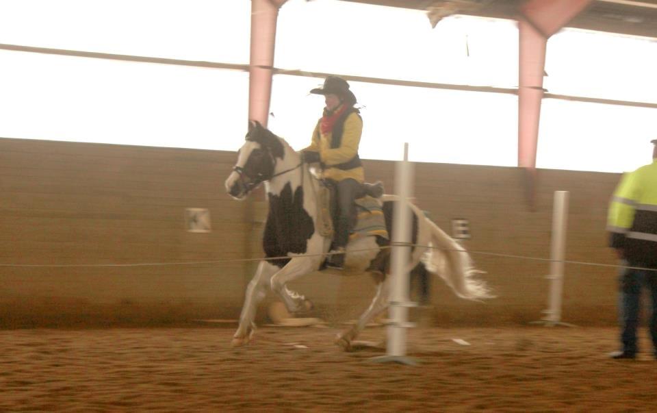 Anden særlig race Jolly Jumper - Tøndeslagning i western-stil!!!<3
 billede 3