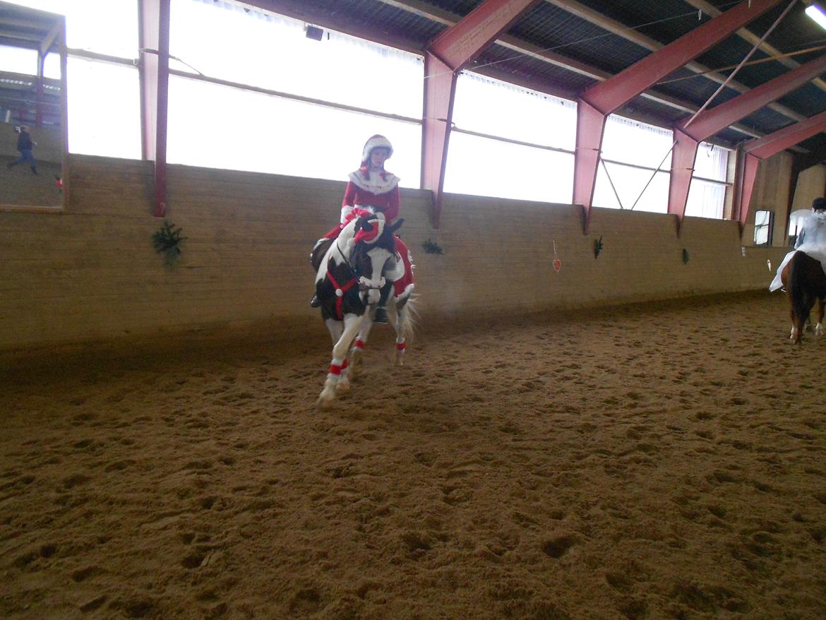 Anden særlig race Jolly Jumper - Opvarmning til julestævne<3! billede 9