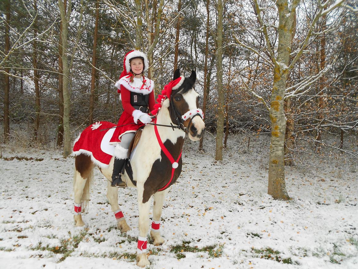 Anden særlig race Jolly Jumper - Og igen<3! billede 11