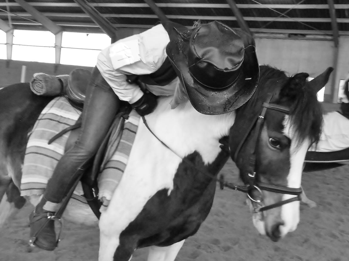 Anden særlig race Jolly Jumper - Lucky Luke giver lige ponsen en krammer!<3 billede 12