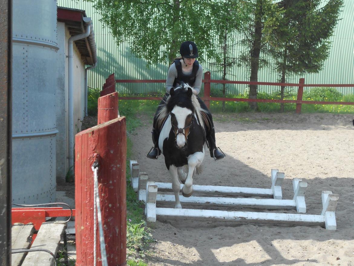 Anden særlig race Jolly Jumper - Lidt cavaletti<3! En af det første gange... billede 13