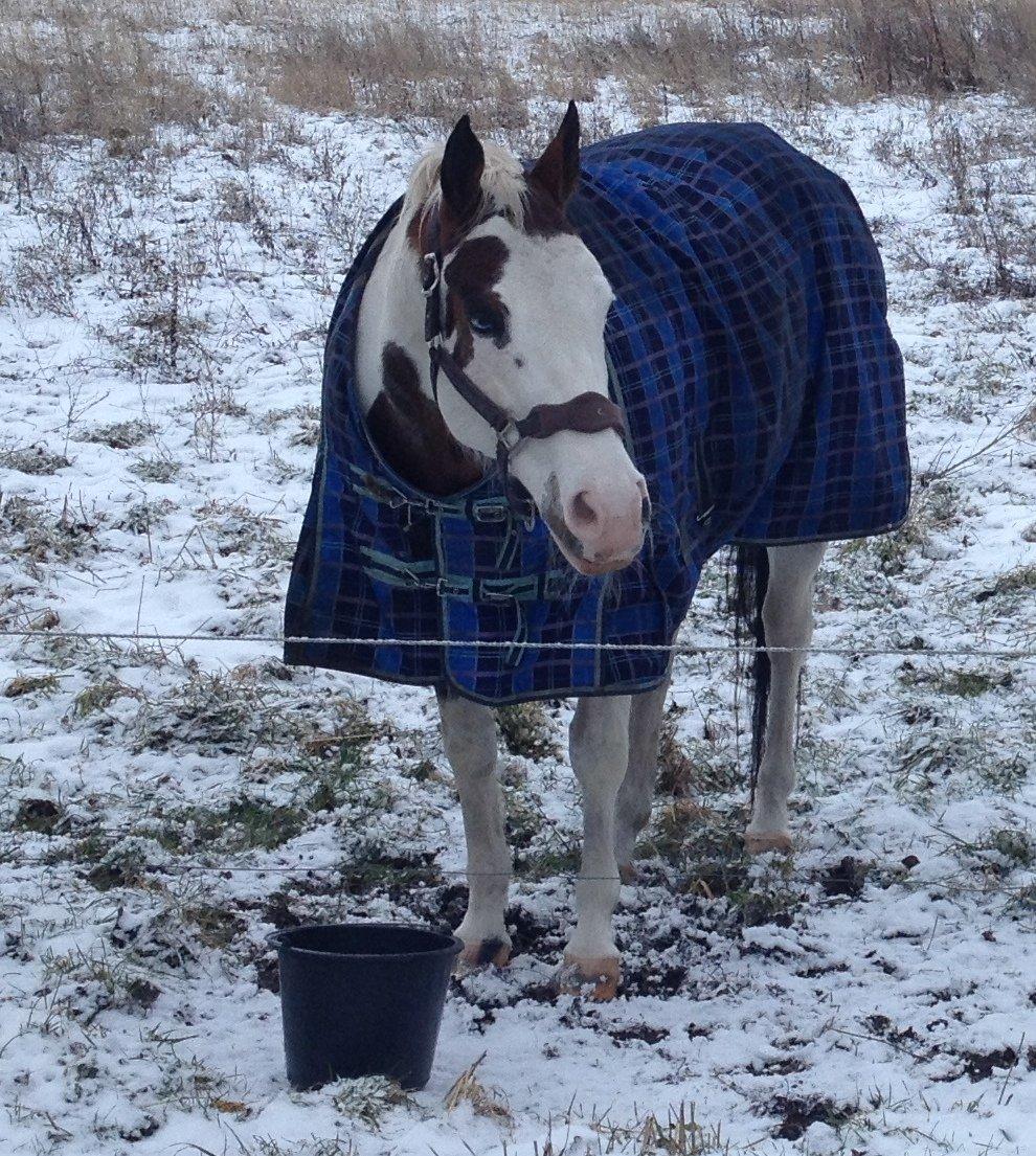 Paint Tequilla Blue R.I.P billede 8