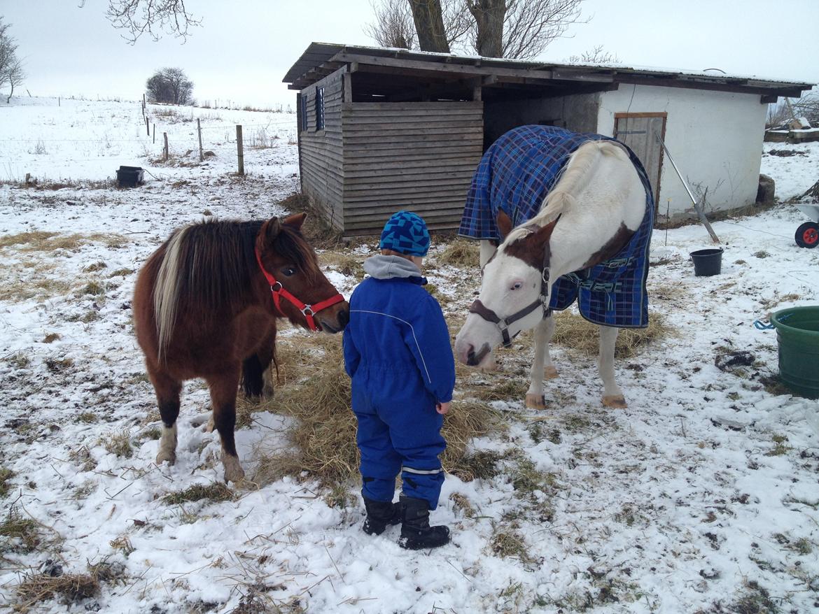 Paint Tequilla Blue R.I.P billede 11