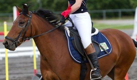 New Forest Selma[Landspony] billede 3