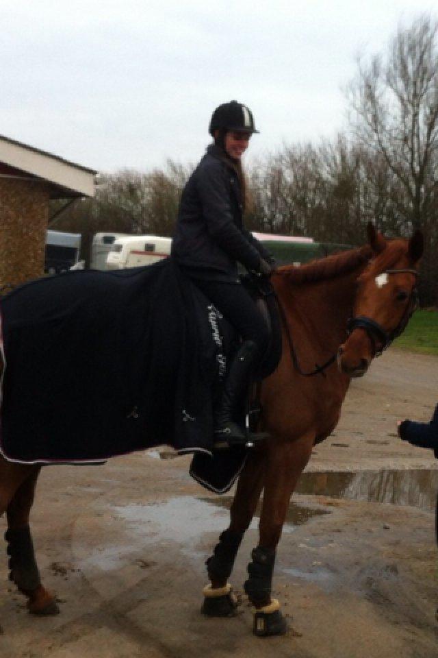 Hannoveraner Pippi Langstrømpe - På vej hjem til hendes nye hjem  billede 9