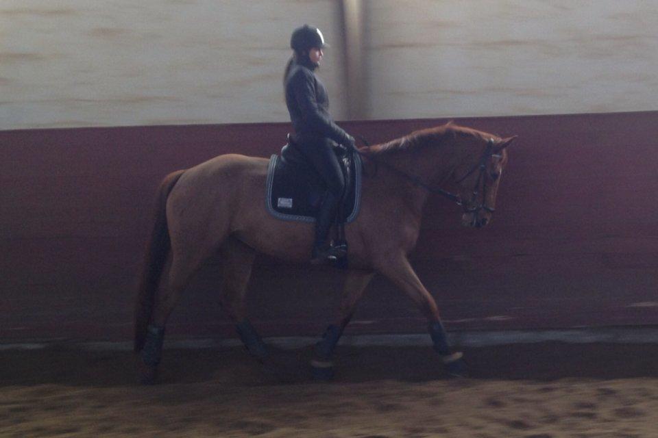 Hannoveraner Pippi Langstrømpe billede 12