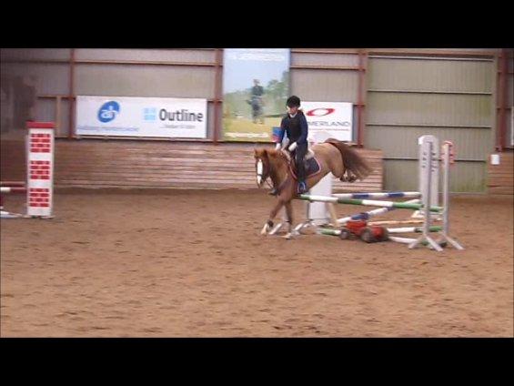 DSP HORSMARKS DIVA DUCHESS - SOLGT! - Mussens fine bagben :D billede 3