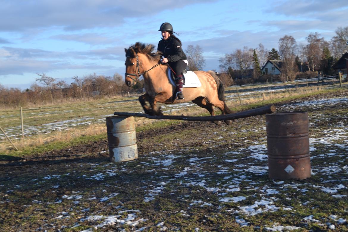 Anden særlig race lady<3 billede 15