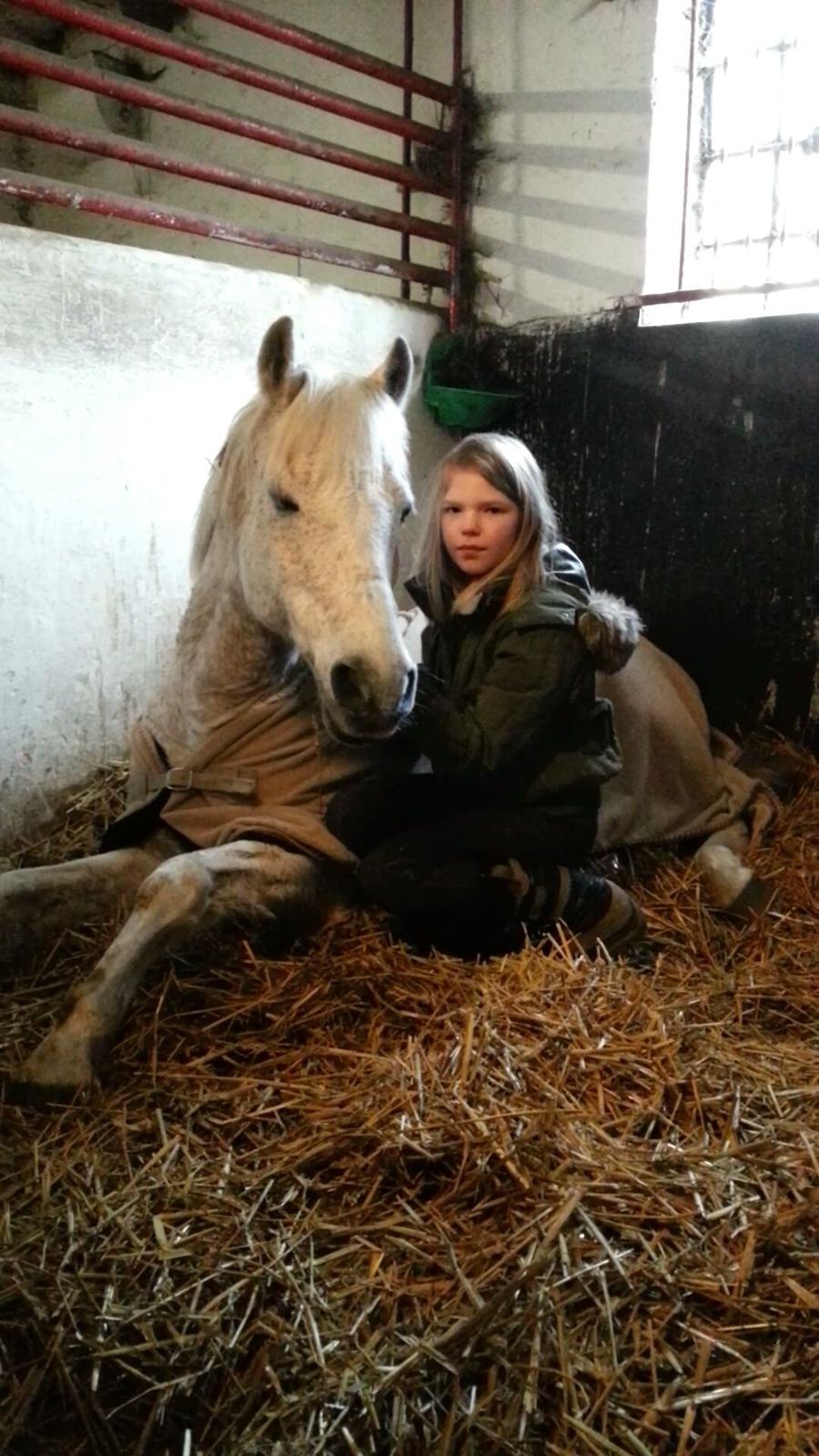 Anden særlig race Igors Silver Speedy billede 1