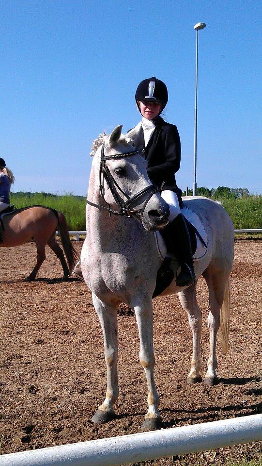 Anden særlig race Igors Silver Speedy billede 5