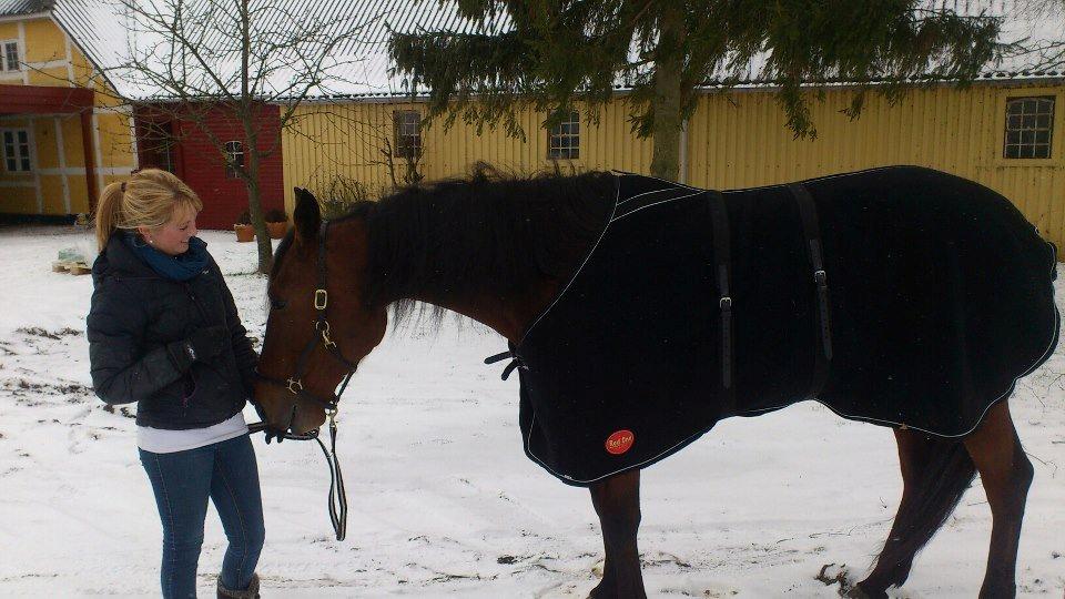 Traver I'm first billede 7