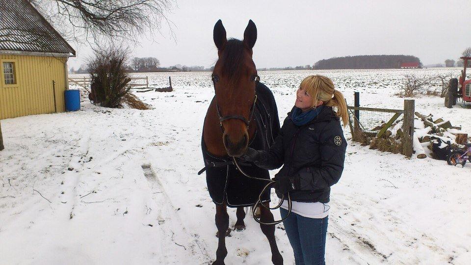 Traver I'm first billede 8