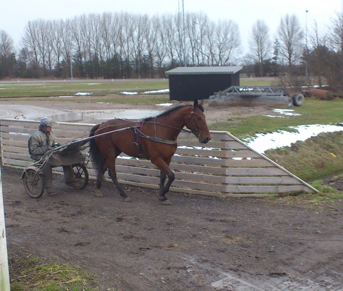 Traver I'm first billede 10