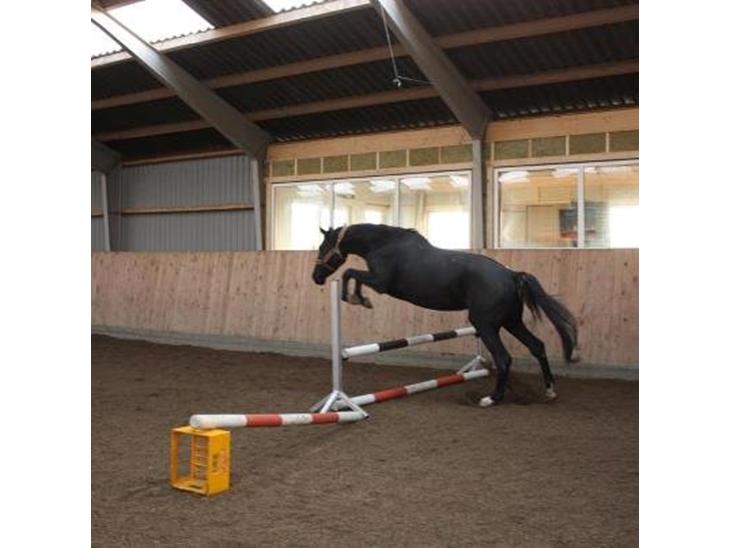 {{currentPhoto.altText}} billede {{currentPhoto.number}}