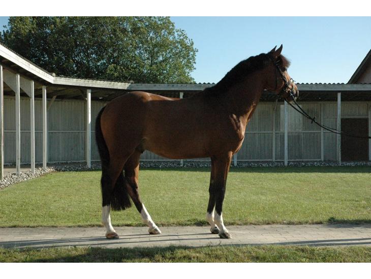 {{currentPhoto.altText}} billede {{currentPhoto.number}}