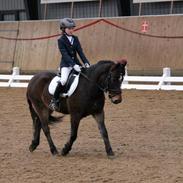 Anden særlig race Starly