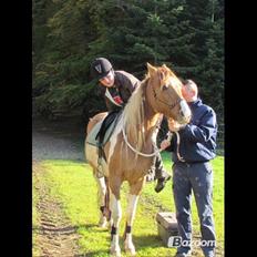Anden særlig race Scirocco