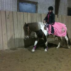 Anden særlig race Perle