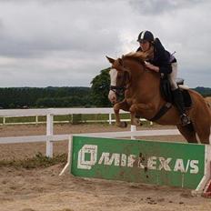 Anden særlig race Tabascho