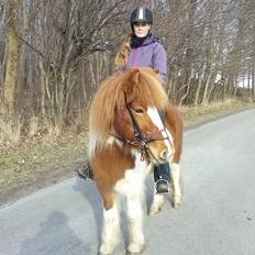 Islænder Depla fra såbyhøj