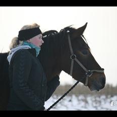 Pinto Dark Daimond<3