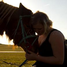 Anden særlig race I Coello's Secretariat