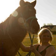 Anden særlig race I Coello's Secretariat