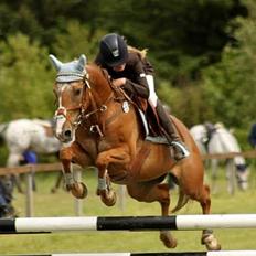 Anden særlig race Sweet Cherry [B-Pony] Aflivet