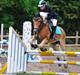 Haflinger Luca *tidligere hest*