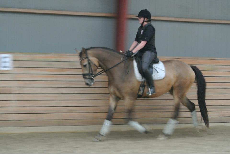 Anden særlig race Asbo´s Fiona - Oooog vi rider og rider... Vildhest! billede 6