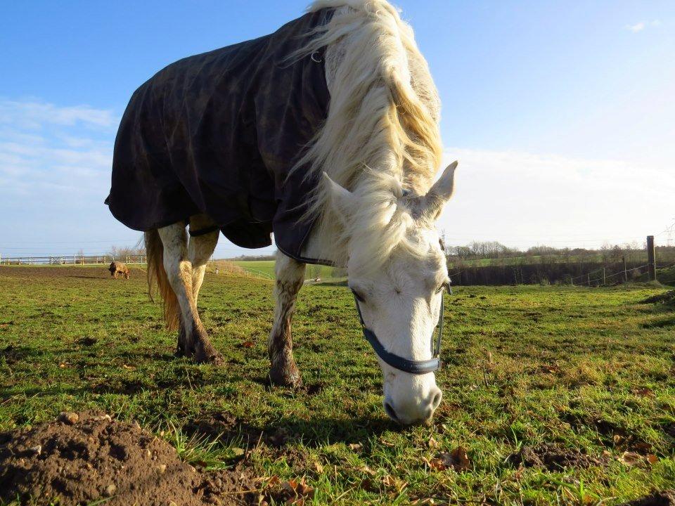 Connemara Skousboe Make My way billede 6