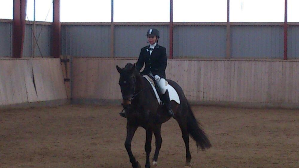 Dansk Varmblod Østerhyldigs Snowdancer - LD2 til dressur mesterskaber på NMRC billede 4