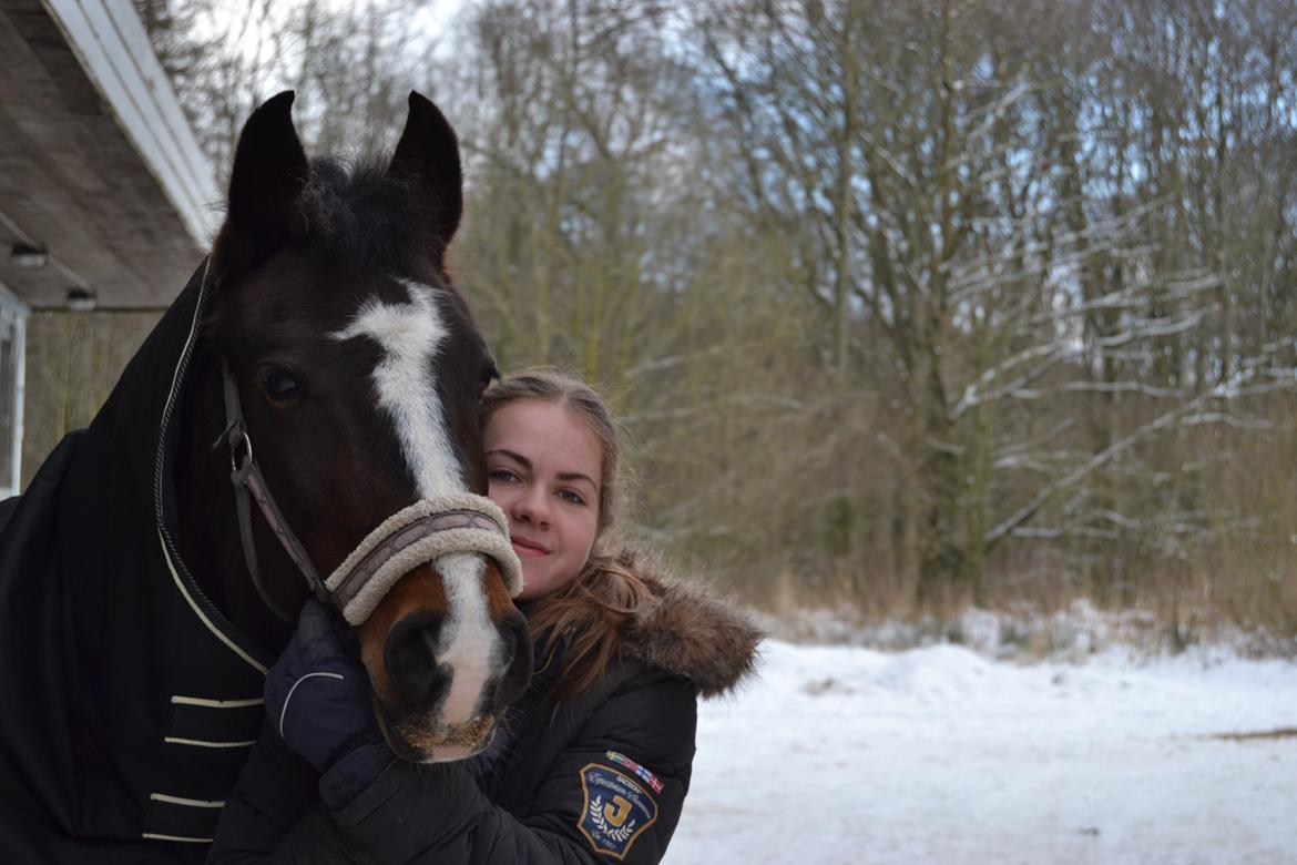 New Forest Equile's Maurita - Ingen som dig Mau <3 billede 18