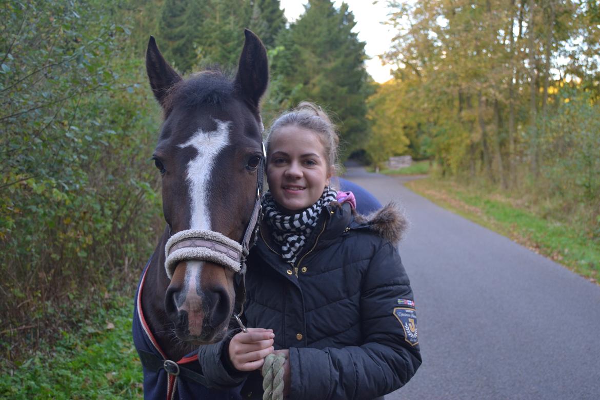 New Forest Equile's Maurita - Min kælighed til dig er ubeskrivelig <3  billede 19