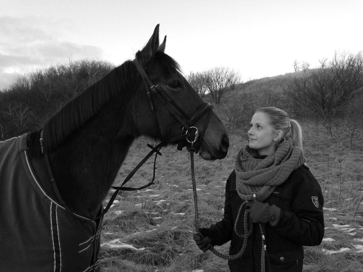 Anden særlig race Palsgaards Kezha (Himmelhest) billede 9