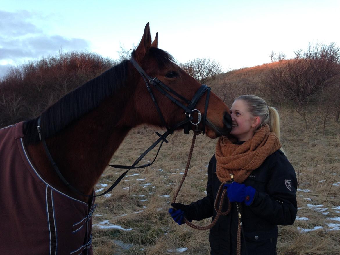 Anden særlig race Palsgaards Kezha (Himmelhest) - Et af de nyeste billeder af Kezha :-) på vej til ridehuset billede 11