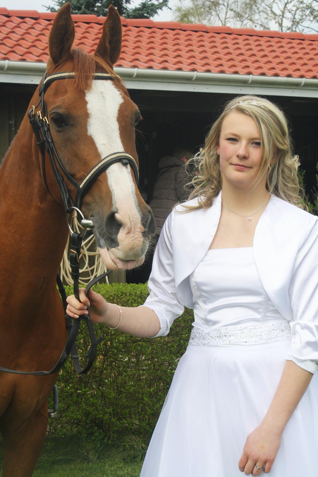 Hollandsk Sportspony Karimh J.V. *B-Pony* - Konfirmation d. 29-4-2012 billede 20