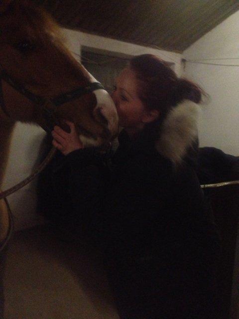 Anden særlig race Scirocco billede 6